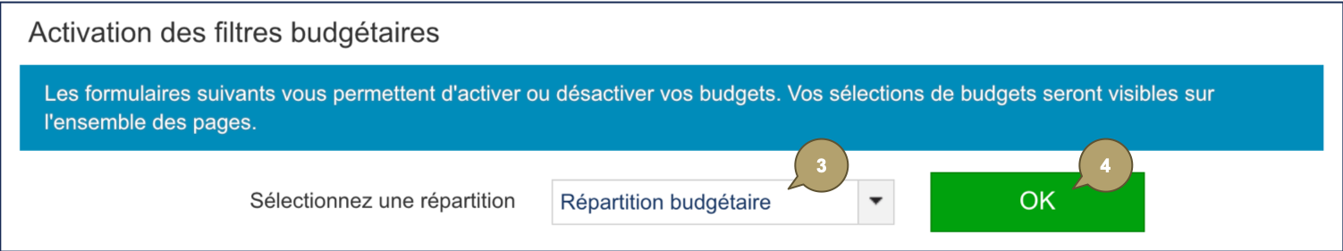 BudgetFilter_Budget_FR.png
